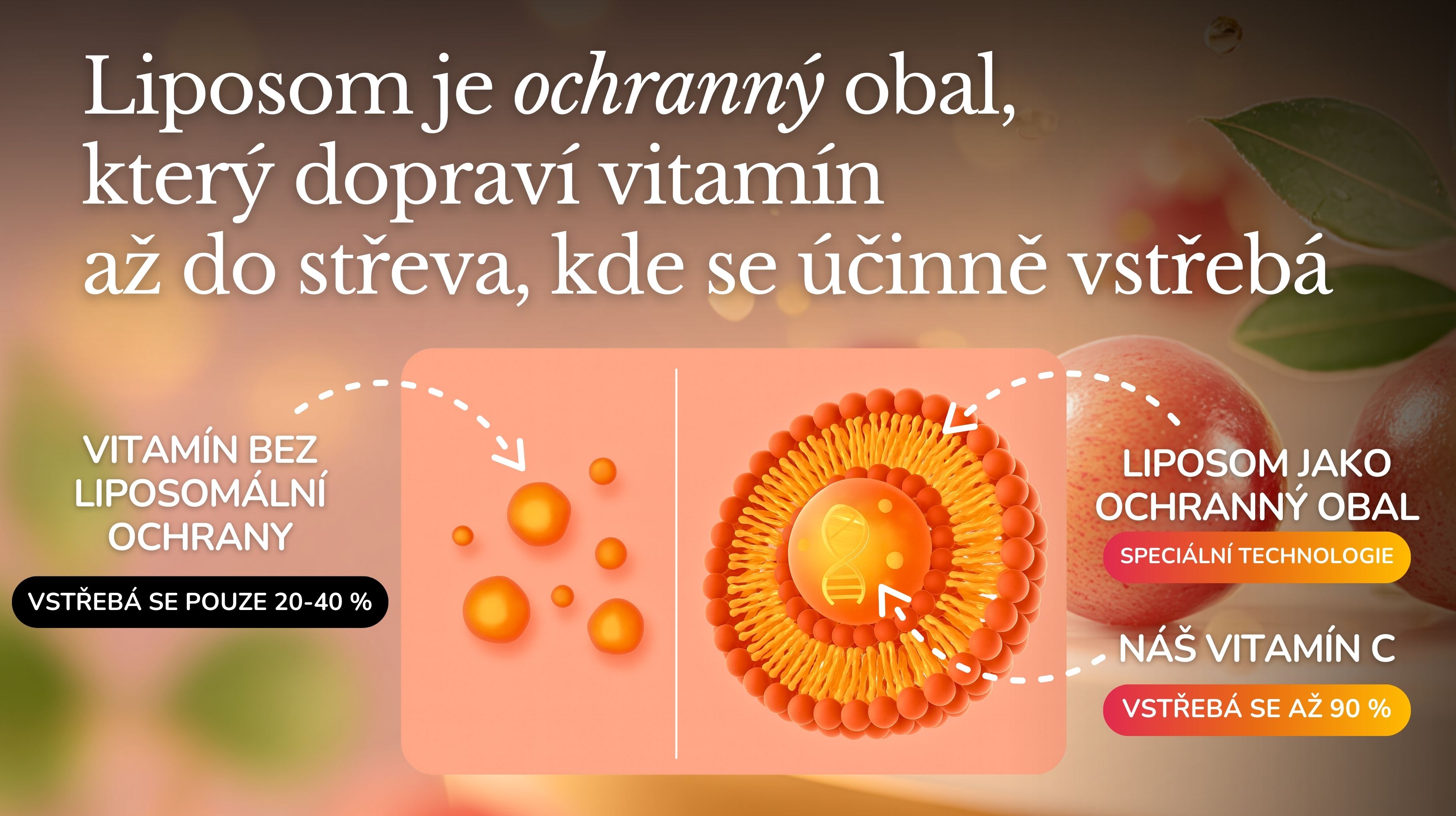 PREMIUM Liposomální Vitamín C 832 mg ANTIOXIDANT BERRY BOOST (+ Acerola, Camu Camu, amla, šípek, bioflavonoidy), Vysoce vstřebatelný, 60 kapslí-9